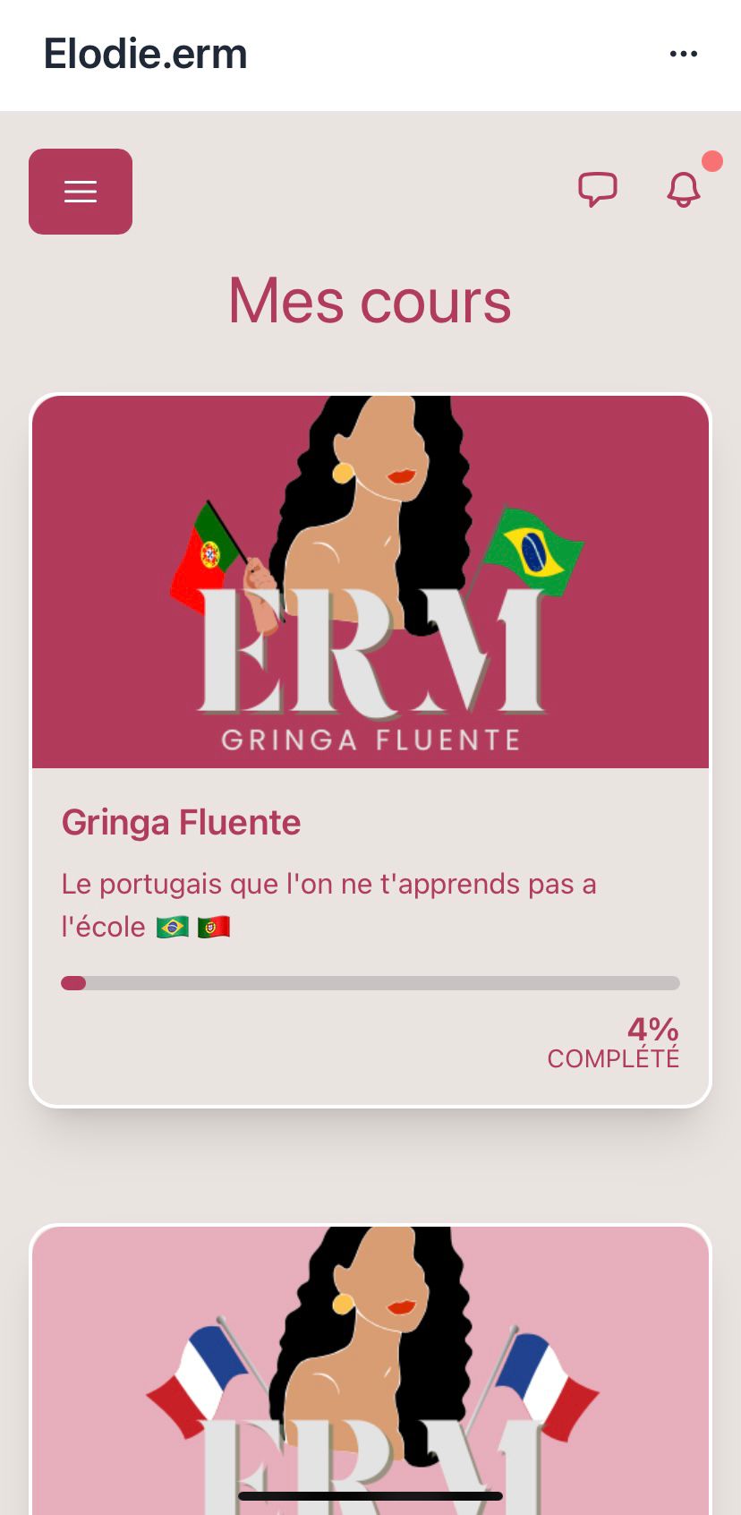 Gringa fluente